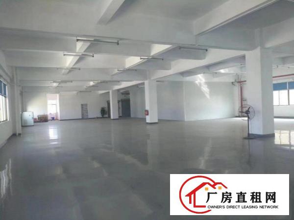  大朗镇独门独院厂房出租原房东
