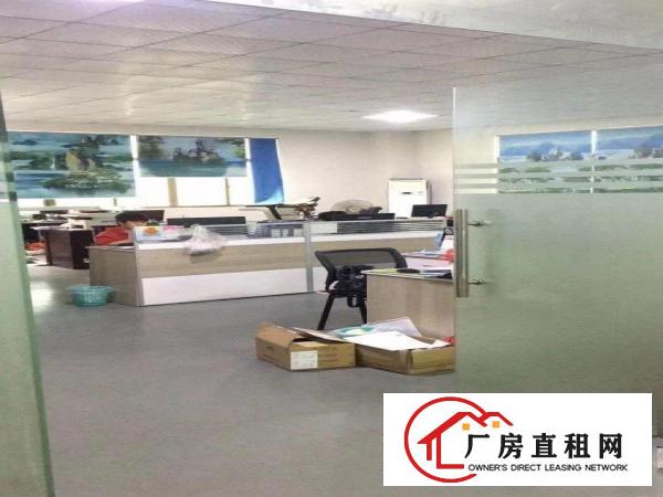  大朗镇独门独院厂房出租原房东