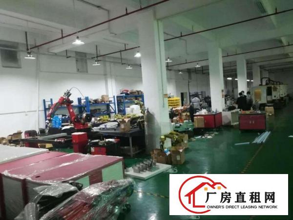  大朗镇独门独院厂房出租原房东