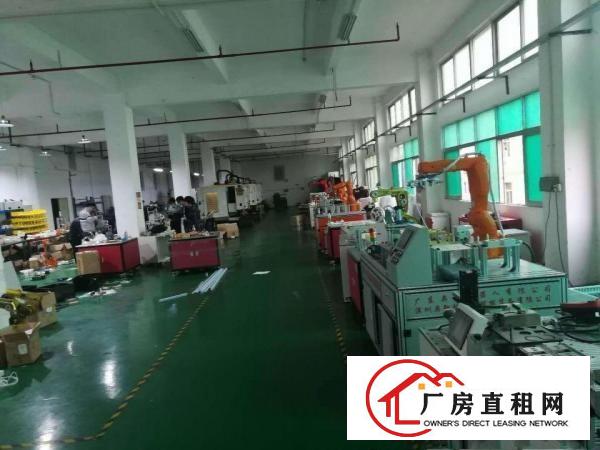  大朗镇独门独院厂房出租原房东
