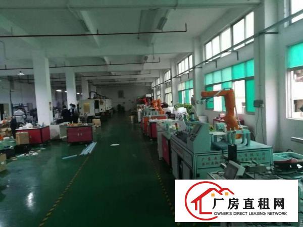 大朗镇独门独院厂房出租原房东