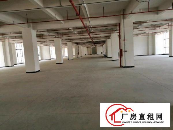  大朗镇康丽路305号铭辉智创园