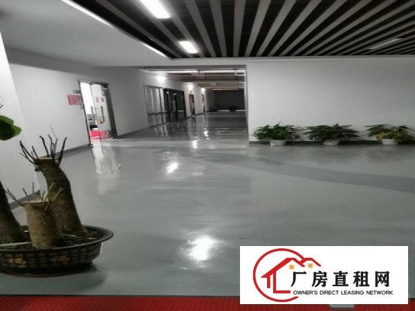  大朗镇康丽路305号铭辉智创园