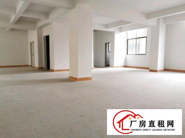  大朗洋乌村附近全新厂房出租