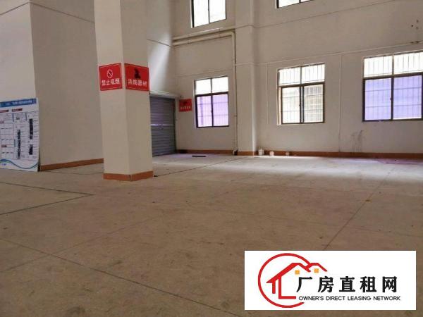  大朗洋乌村附近全新厂房出租