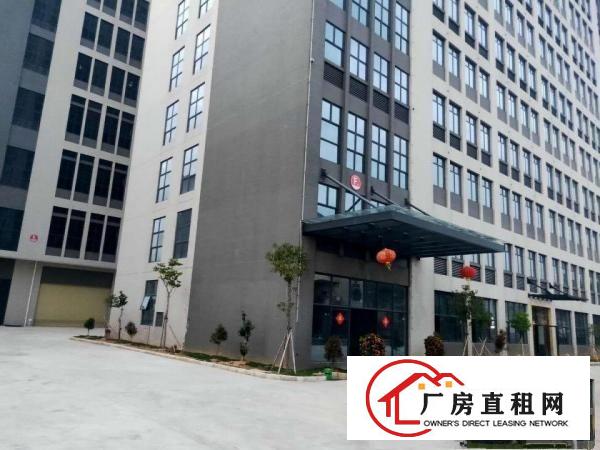  大朗全新厂房，原房东直租