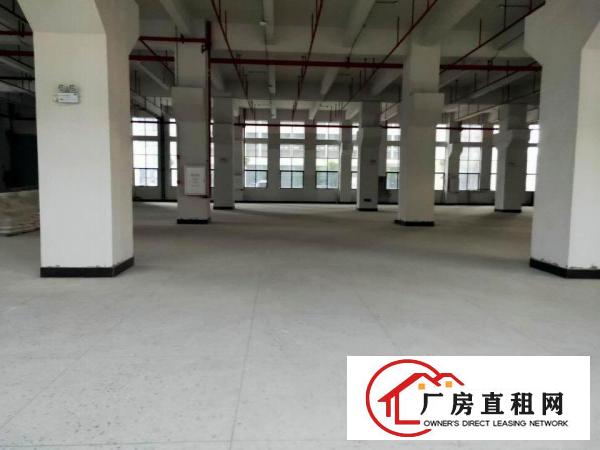  大朗全新厂房，原房东直租