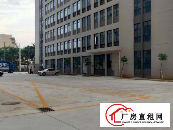  大朗全新厂房，原房东直租