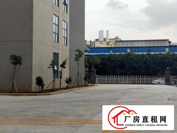  大朗全新厂房，原房东直租