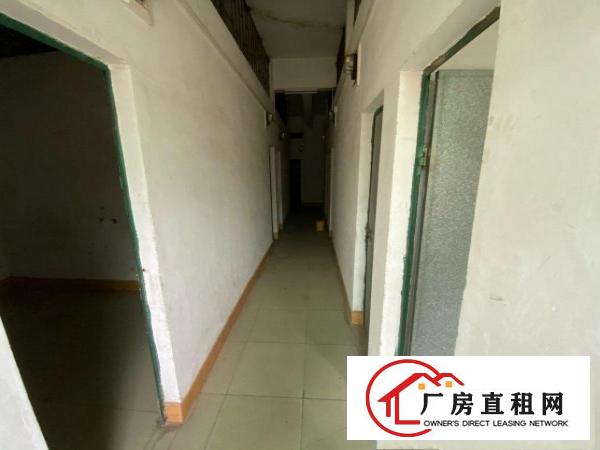  大朗蔡边厂房出租，交通便利价格优惠