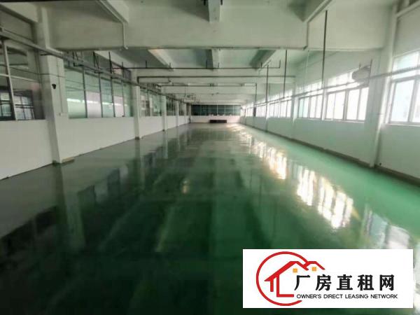  大朗镇新出原房东独院6000平方厂房出租
