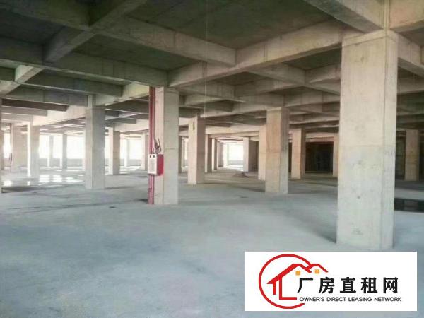  大朗巷头康丽路毛织仓库毛行毛仓招租华为邻近