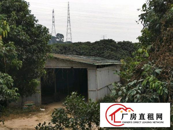  大朗原房东小独门独院