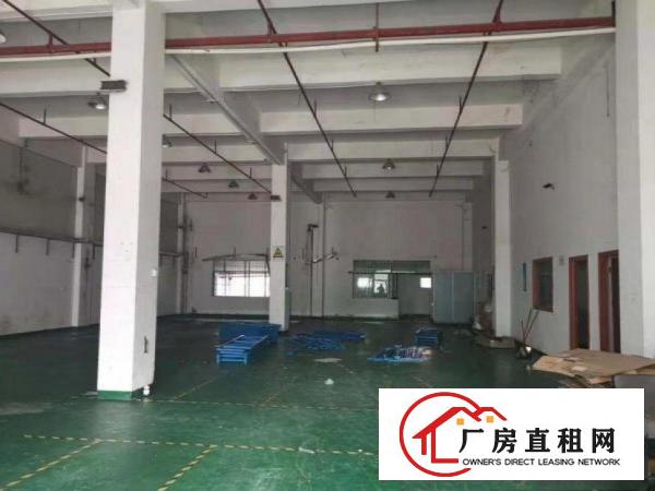  洋坑塘标准厂房分租一楼1100平方