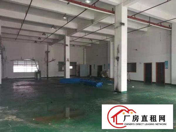  洋坑塘标准厂房分租一楼1100平方