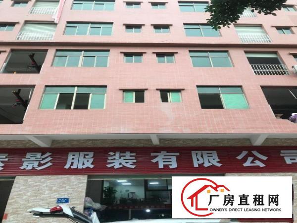  带电梯厂房出租，楼面全新，干净整洁