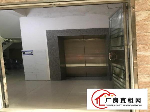 带电梯厂房出租，楼面全新，干净整洁
