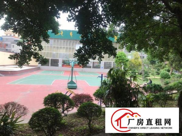  带电梯厂房出租，楼面全新，干净整洁