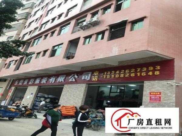  带电梯厂房出租，楼面全新，干净整洁