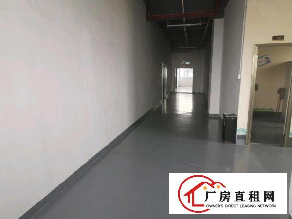  大朗镇工业区厂房出租