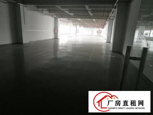  大朗镇工业区厂房出租