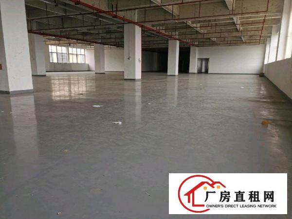  大朗镇工业区厂房出租
