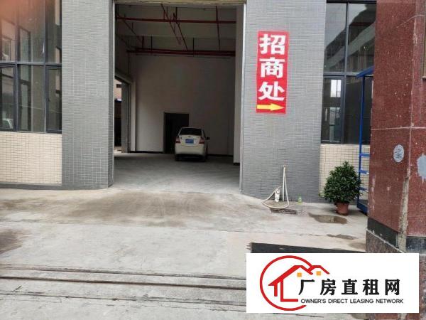  大朗全新科技园厂房出租