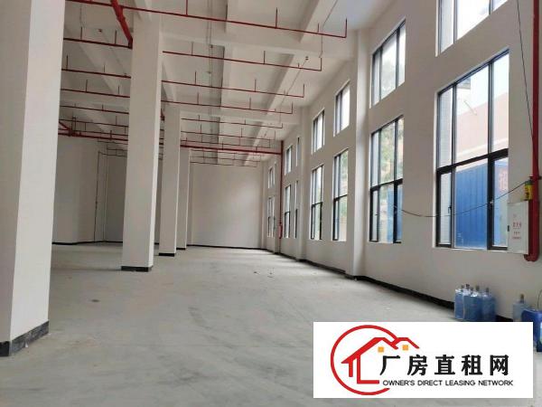  大朗全新科技园厂房出租