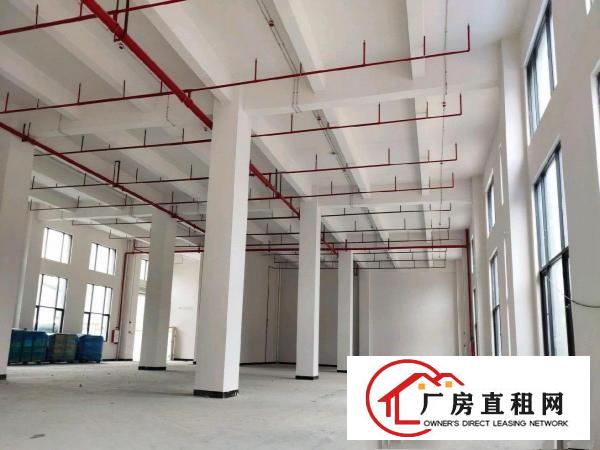  大朗全新科技园厂房出租