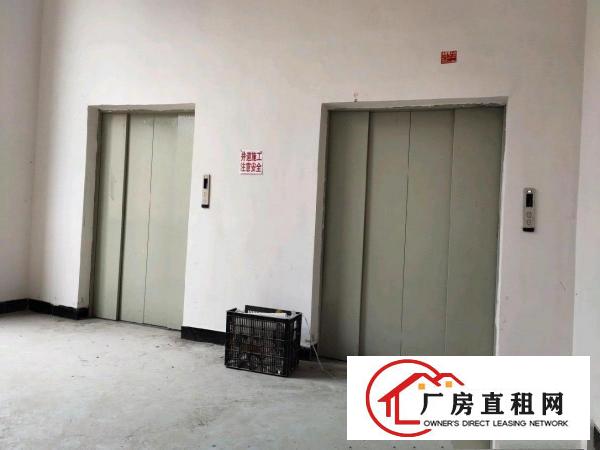  大朗全新科技园厂房出租
