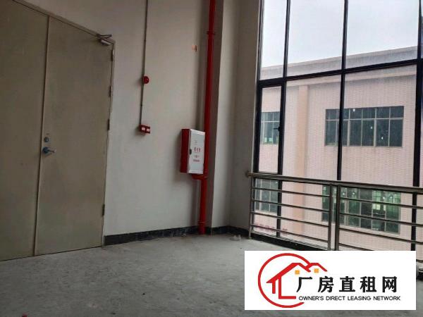  大朗全新科技园厂房出租