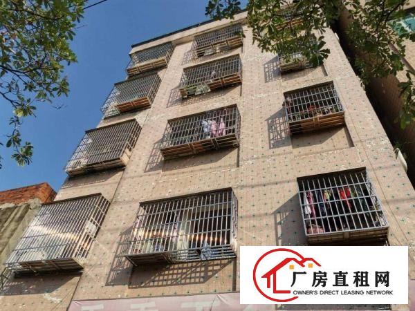 整栋五层带两个门面招租可做工厂宿舍