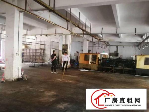  新马莲工业区厂房一楼700平，原房东，可办环评