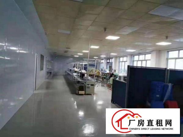 石厦工业区出租新空出一楼1250平方带装修办公室厂房