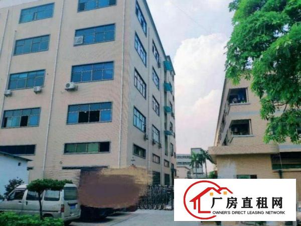  长塘工业区一楼厂房1200平高6米精装修原房东，可办环评