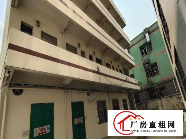  全新园区标准厂房出租