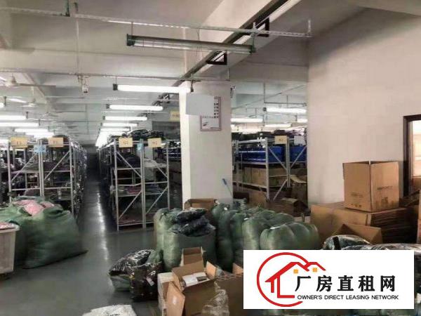 新马莲原房东独院两层2880平方厂房出租1楼7米高