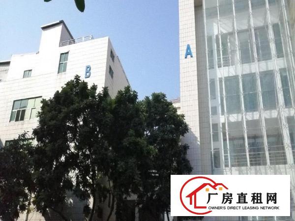  高速路口近华为独院出租