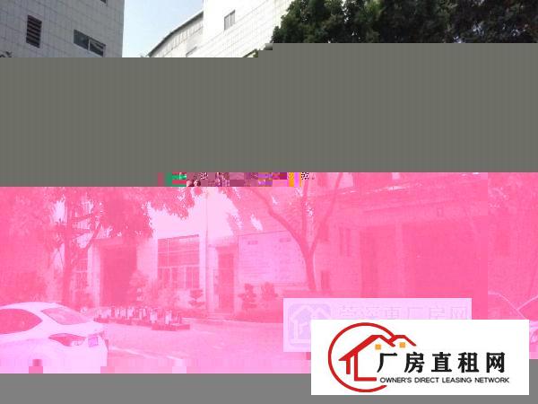  高速路口近华为独院出租