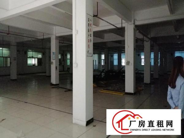  高速路口近华为独院出租
