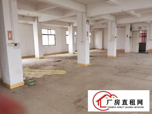  大朗洋坑塘全新厂房出租