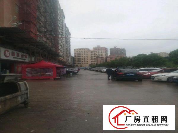  黎贝岭新出人流密集地区出租