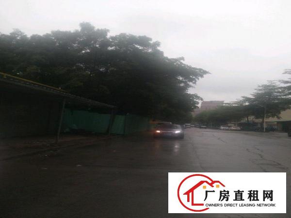 黎贝岭仓库厂房出租，华为旁边