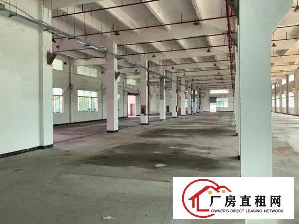  大朗独门独院厂房！形象极佳！