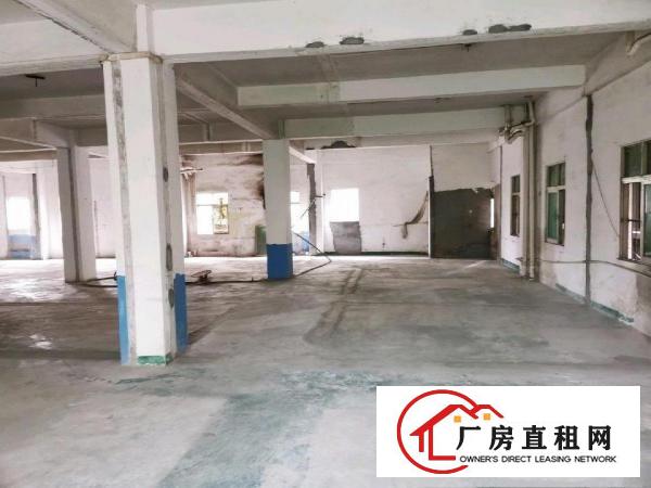  大朗石厦优质厂房出租