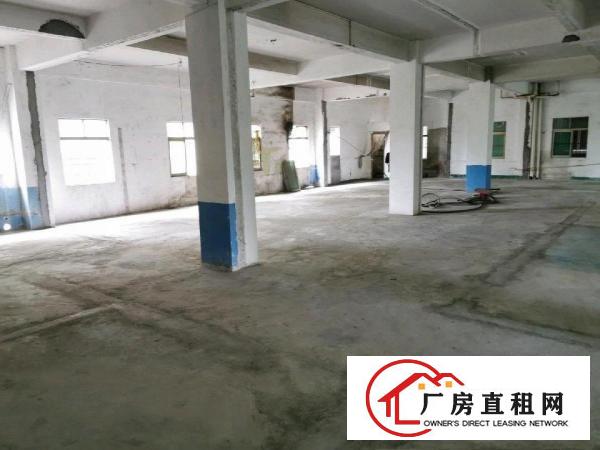  大朗石厦优质厂房出租