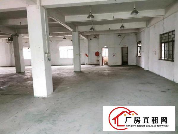  大朗石厦优质厂房出租