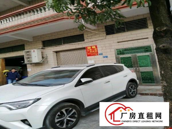  整栋四厂房约一干平米