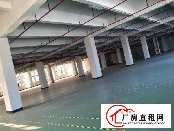  洋乌现成环评厂房500平方分租