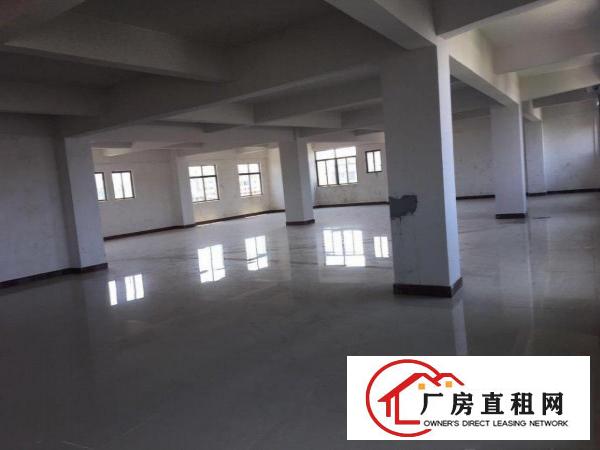  高英文化体育馆旁新建电梯厂房